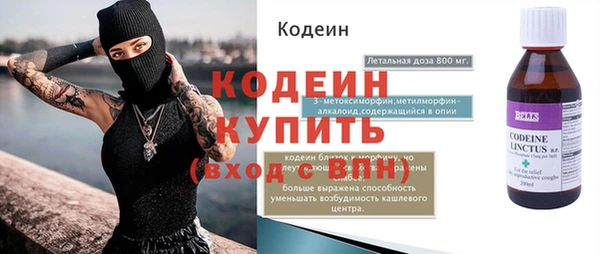 индика Кукмор