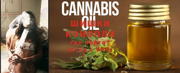 индика Кукмор
