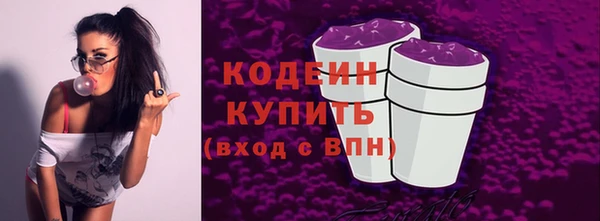 индика Кукмор