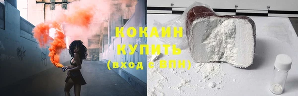 индика Кукмор