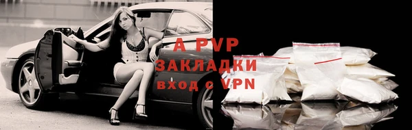 индика Кукмор