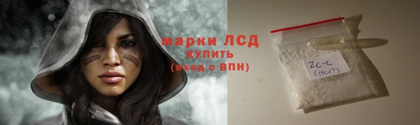 индика Кукмор