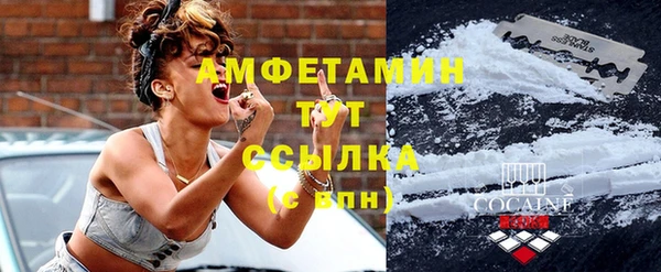индика Кукмор