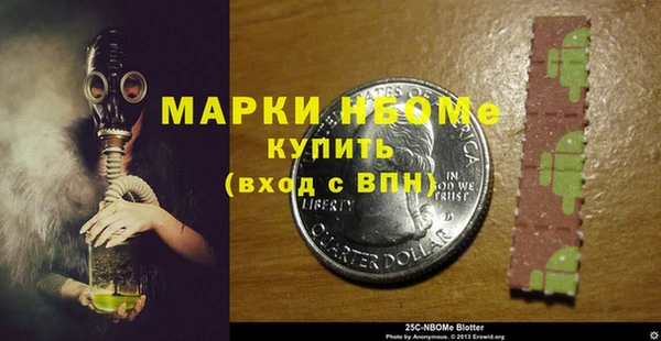 индика Кукмор