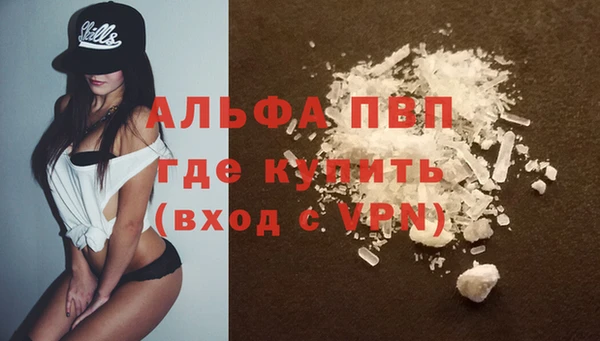 индика Кукмор