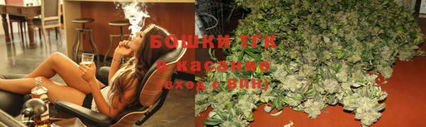 индика Кукмор