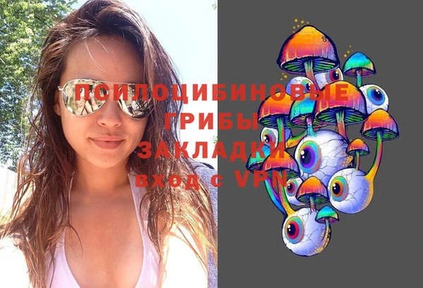 прущие крисы Кулебаки